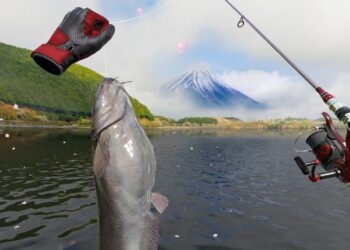 VR’s Top Fishing Game Makes Its Long-Awaited PC VR Debut, Five Years Post Quest Release